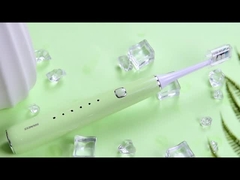 BS61 Chuỗi đánh răng điện âm thanh cho người lớn