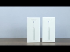 SN302 Máy đánh răng điện âm thanh cho người lớn