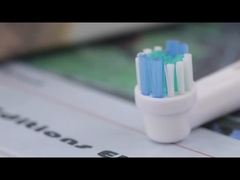 SB-17A đầu bàn chải đánh răng điện